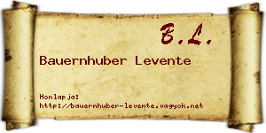 Bauernhuber Levente névjegykártya