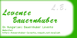 levente bauernhuber business card